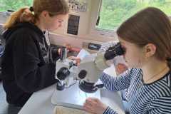 IMG-20260417-WA0017