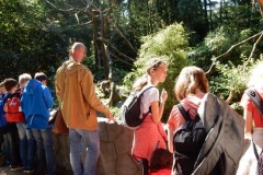 frankenhof_2016-04-1482074287