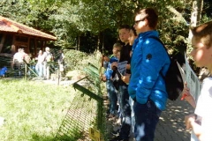 frankenhof_2016-05-1482074290