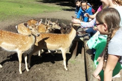 frankenhof_2016-05-1482074403