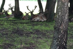 frankenhof_2016-15-1482074311