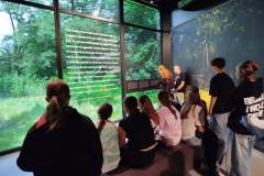 IMG_20240701_154126