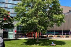 97c0969e-4c0c-4b6f-b66d-7f2a763e19eb