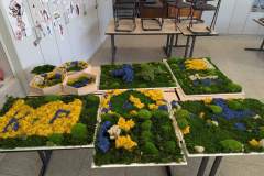 d68affb0-a9e4-4077-a0bc-7246d00c47b8