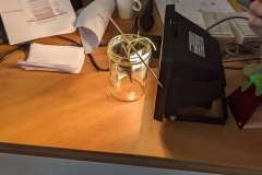 PXL_20240314_111826498