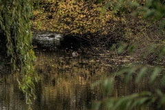 _b080055